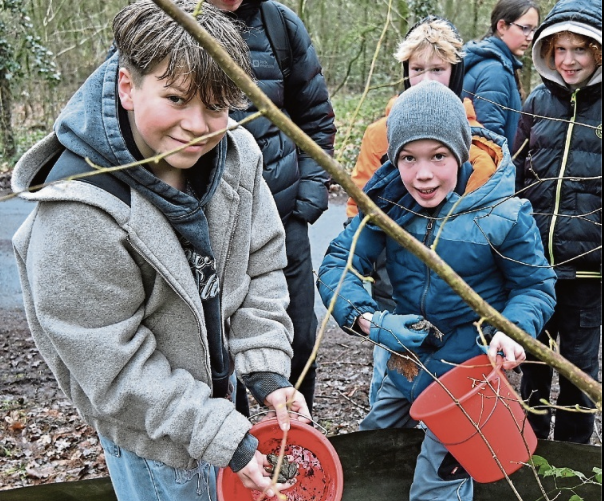 Amphibienschutzaktion 2025