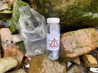 Geocaching für das Gemeinschaftsgefühl an der GKS Holdorf