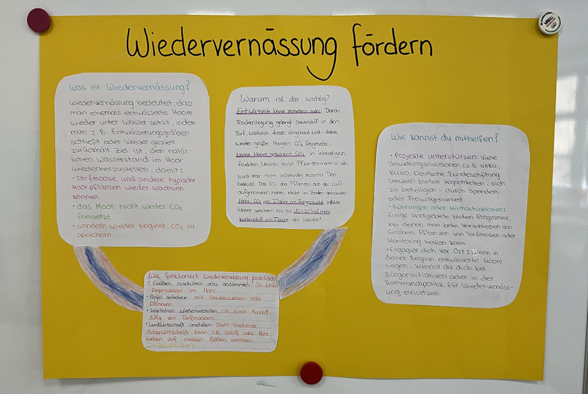 Projekt Wasservision - Schwammlandschaften