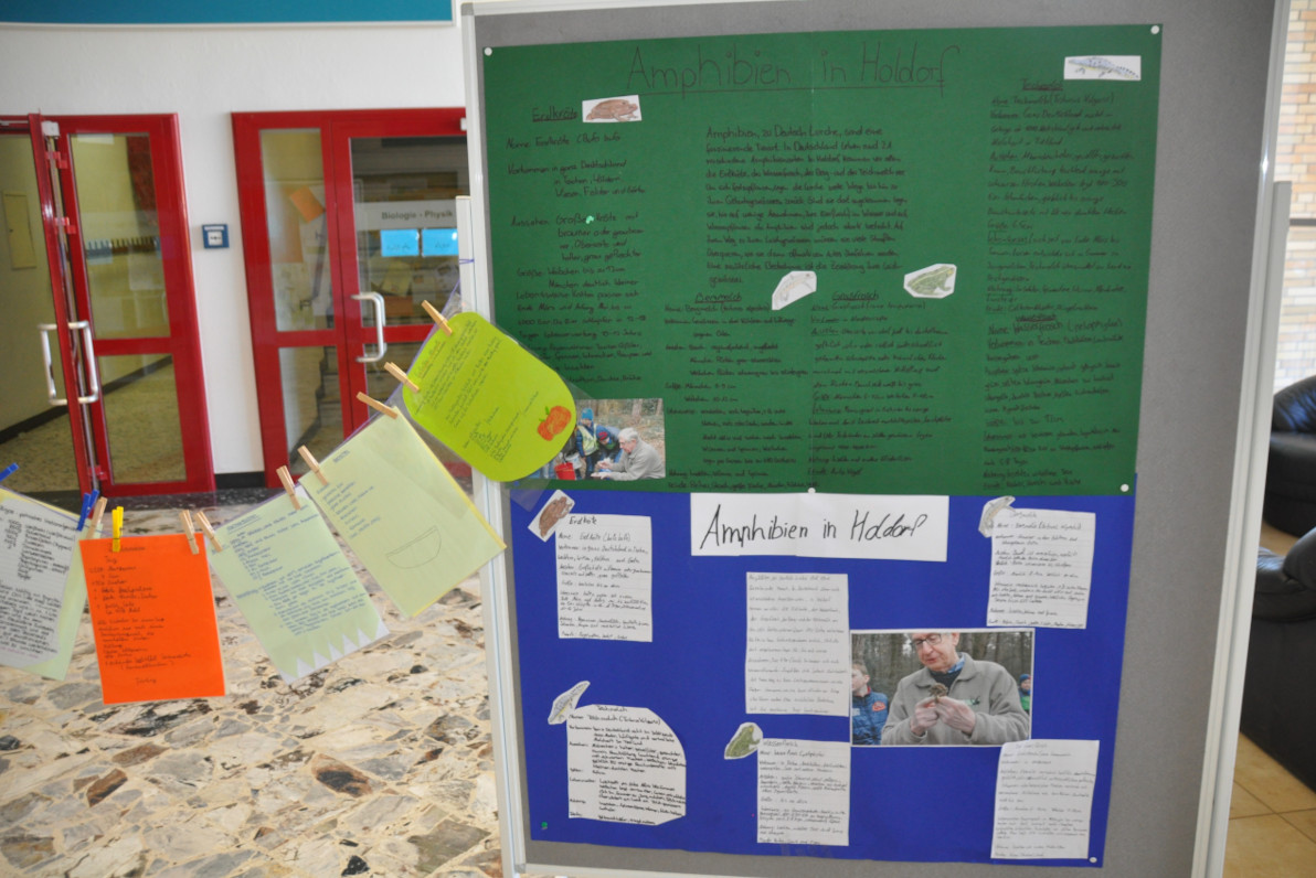 Projekttage 2016 - Amphibienschutz, Benjeshecke und Insektenhotels