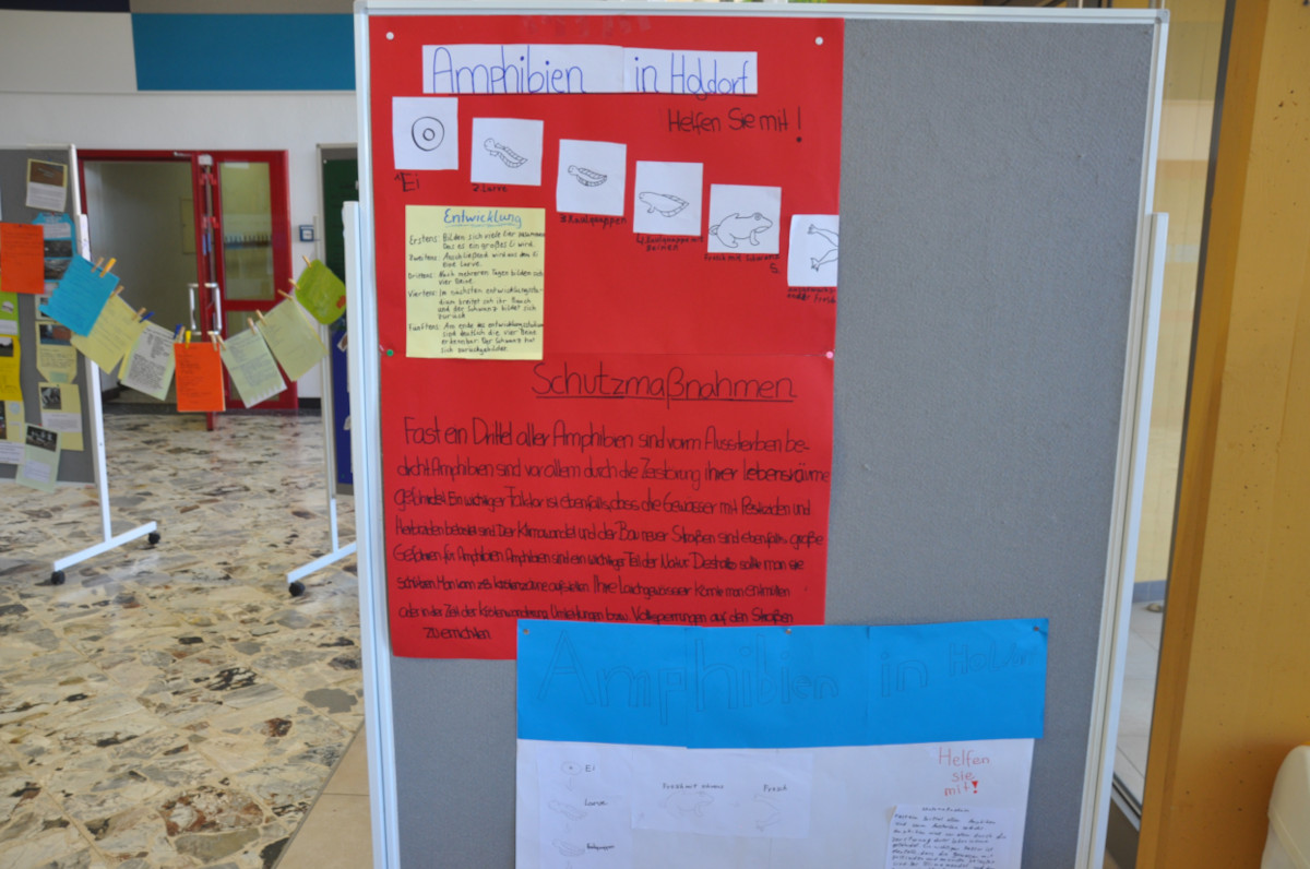 Projekttage 2016 - Amphibienschutz, Benjeshecke und Insektenhotels