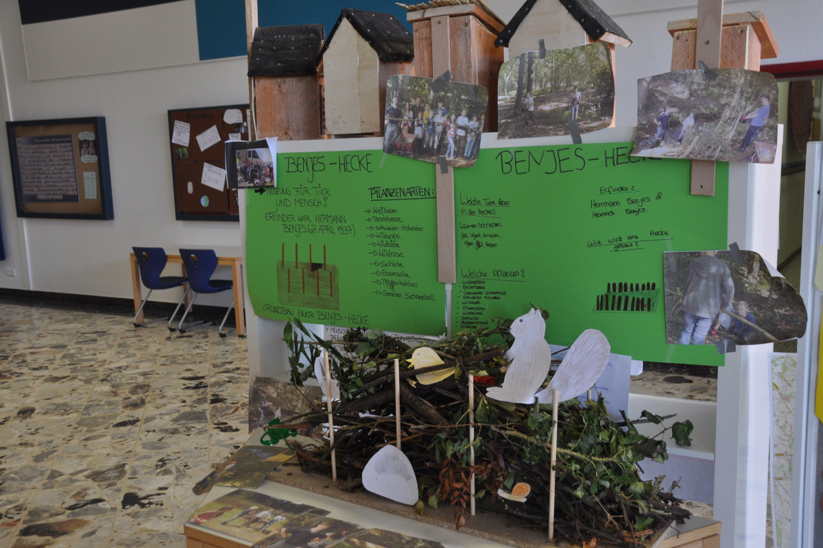 Projekttage 2016 - Amphibienschutz, Benjeshecke und Insektenhotels