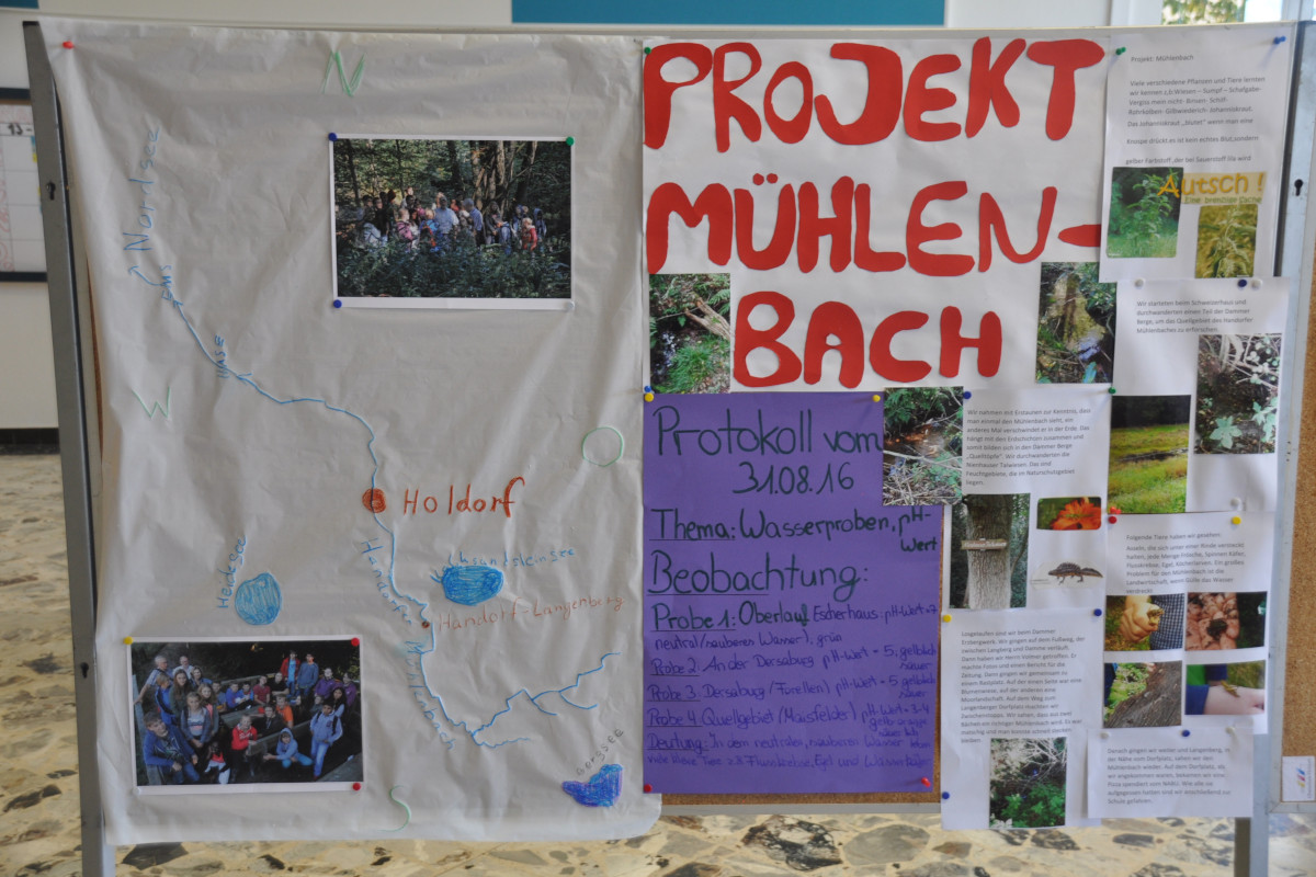 Projekttage 2016 - Amphibienschutz, Benjeshecke und Insektenhotels