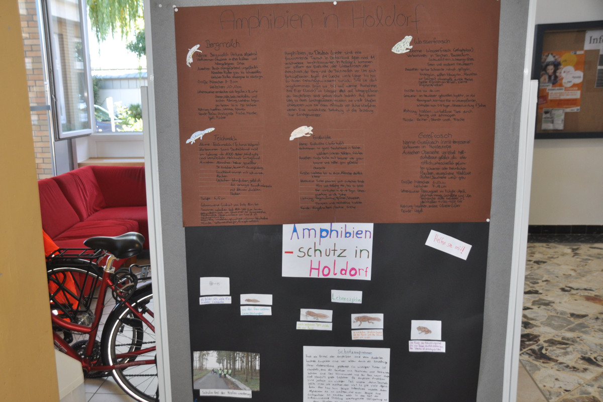 Projekttage 2016 - Amphibienschutz, Benjeshecke und Insektenhotels