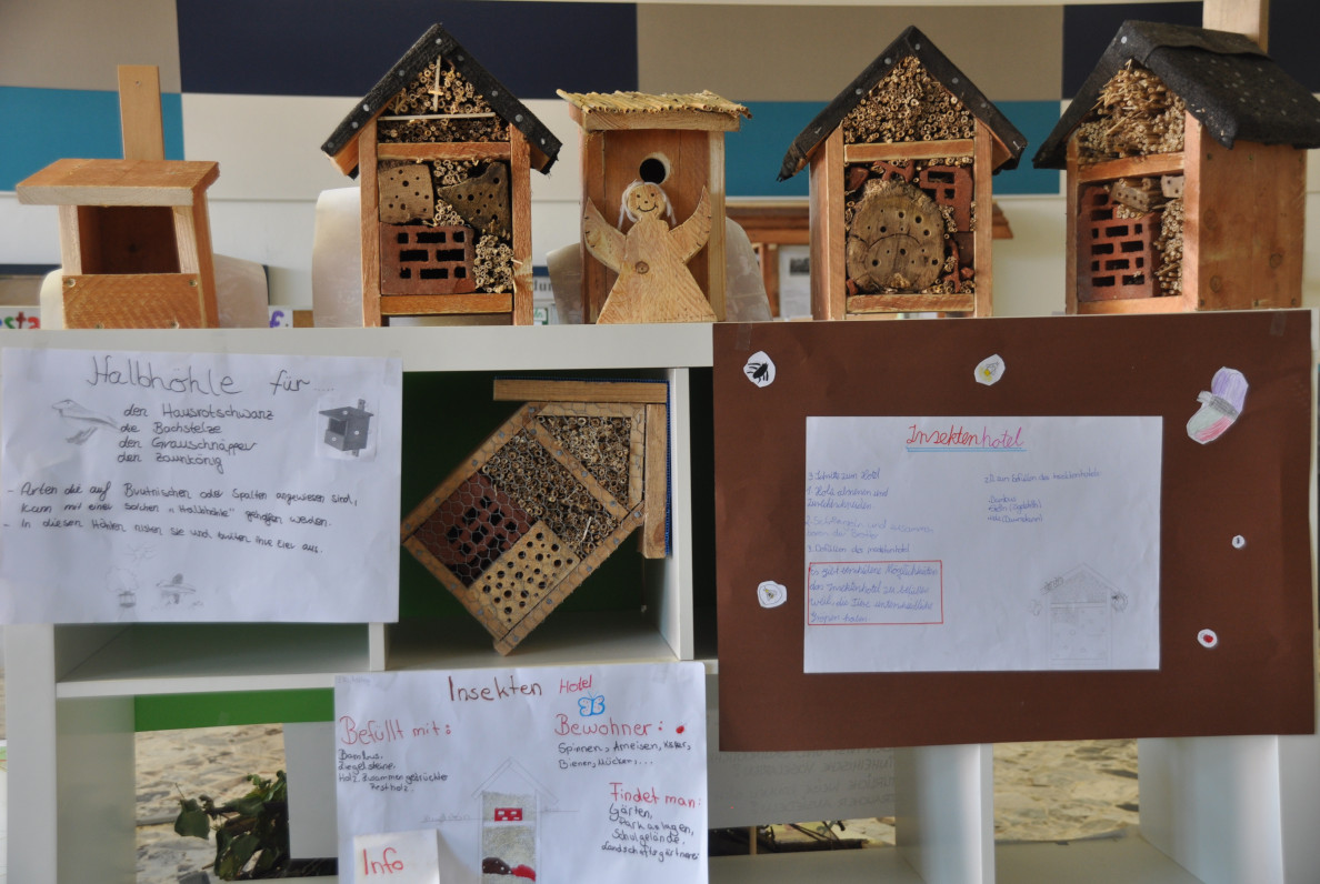 Projekttage 2016 - Amphibienschutz, Benjeshecke und Insektenhotels