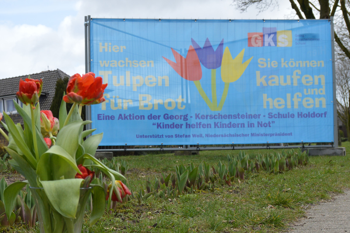 Tulpen für Brot
