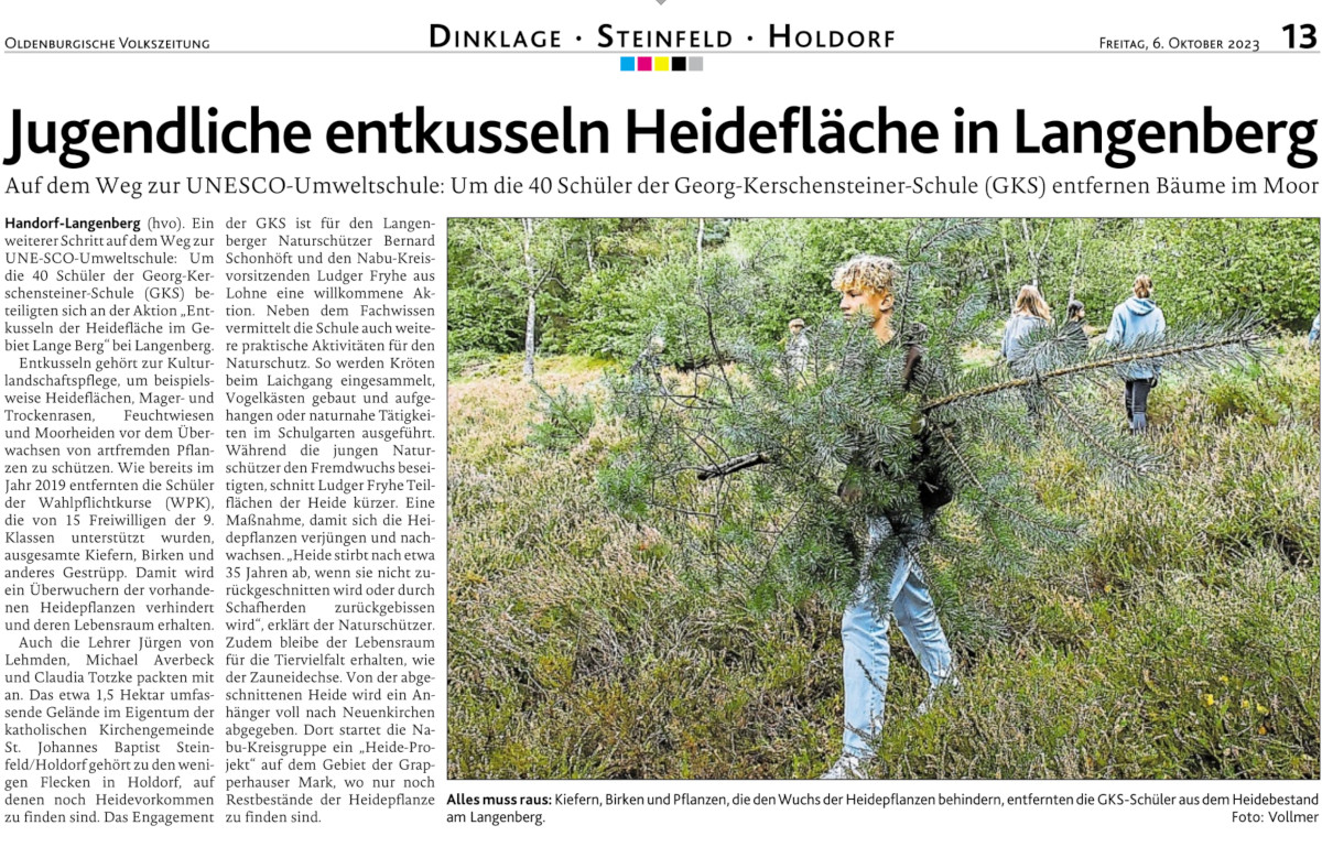 Umwelt-AG entkusselt Heidefläche