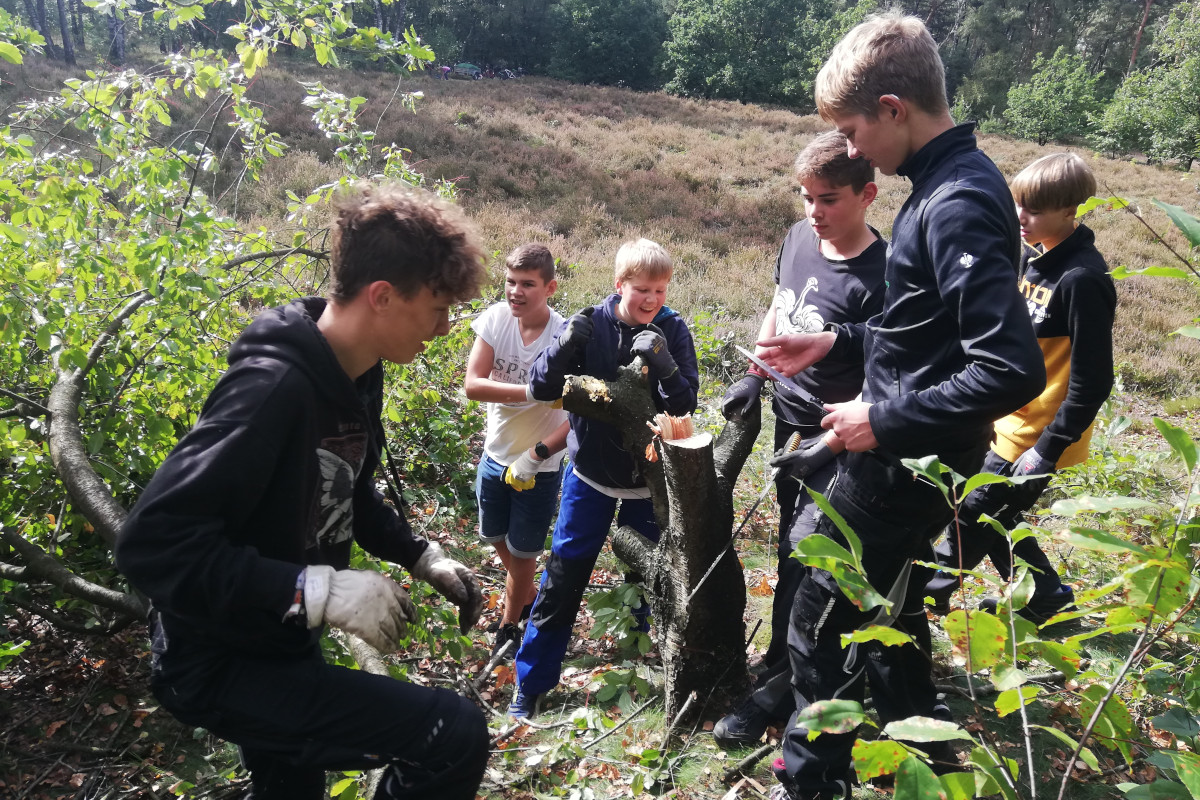 Umwelt-AG entkusselt Heidefläche