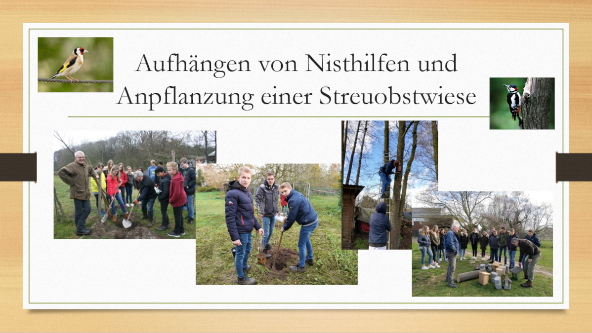 Umwelt-AG stellt sich vor