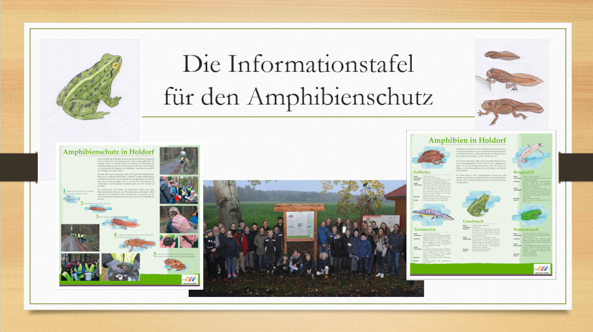 Umwelt-AG stellt sich vor